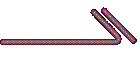 Muscle Cars